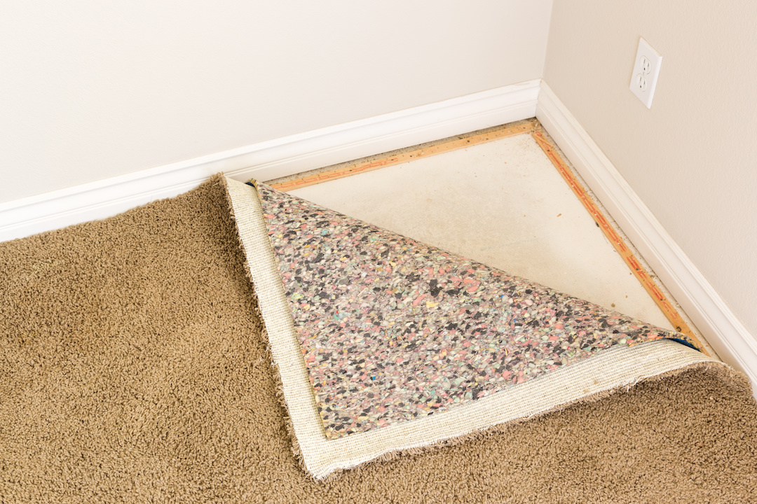 Carpet mold removal